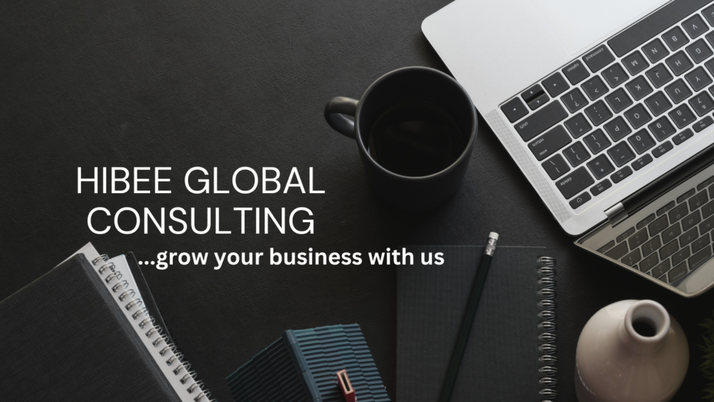 HIBEE GLOBAL CONSULTING 1024x577